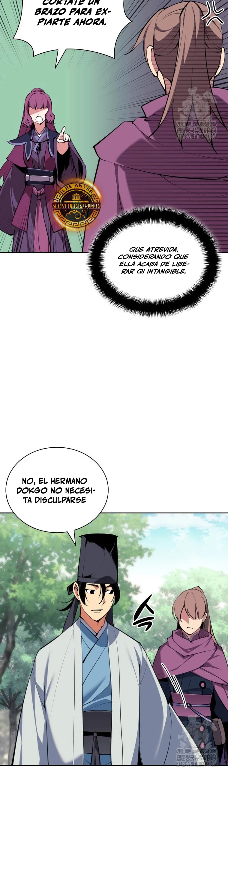 Registros del Erudito Espadachín Capitulo 141 página 11