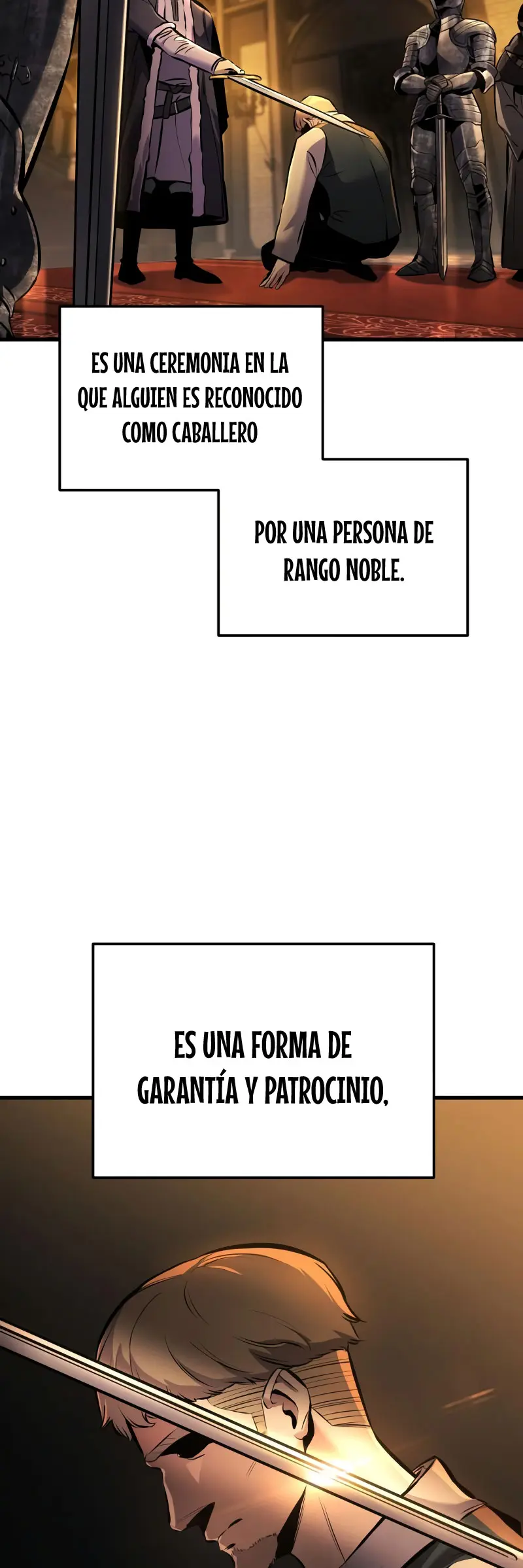 El Ascenso del Caballero Errante Capitulo 37 página 47