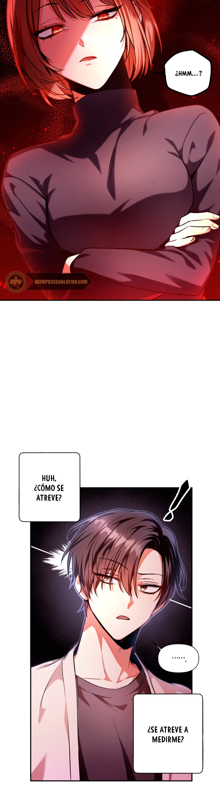 Manual de instrucciones del Reencarnado Capitulo 4 página 13