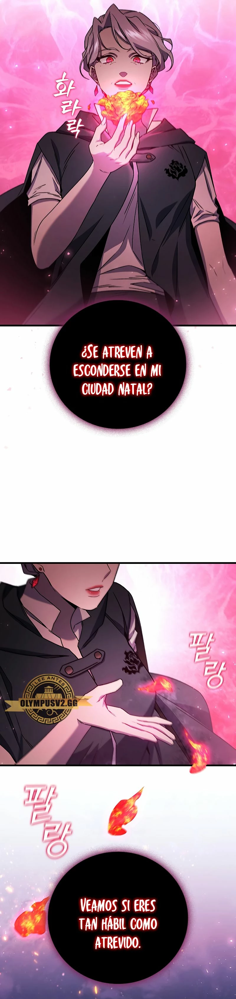 Mago devorador de dragones Capitulo 12 página 5