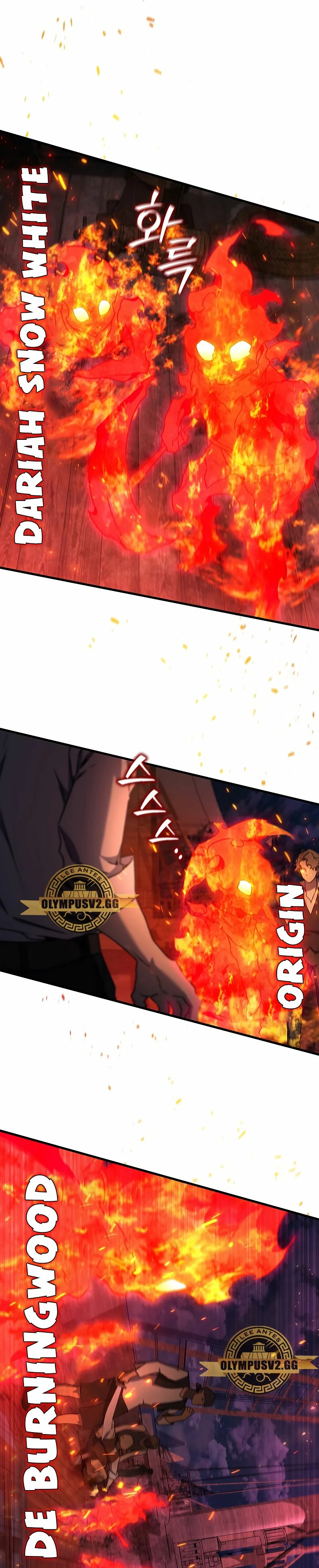 Mago devorador de dragones Capitulo 12 página 8