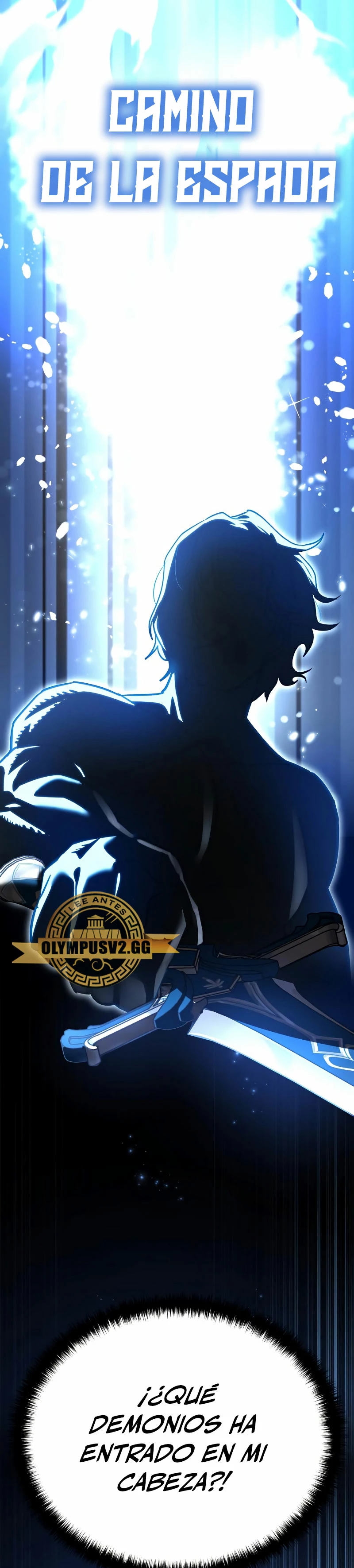 El maestro de la espada acogedor de estrellas Capitulo 2 página 47