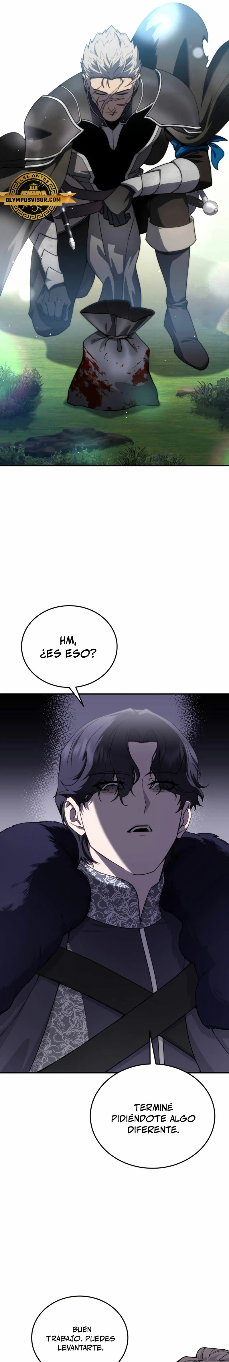El maestro de la espada acogedor de estrellas Capitulo 25 página 17