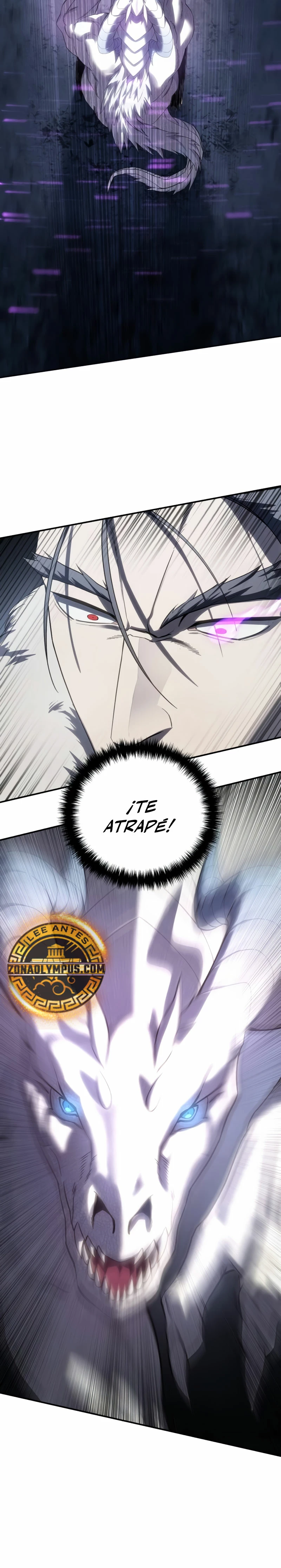 El maestro de la espada acogedor de estrellas Capitulo 67 página 25