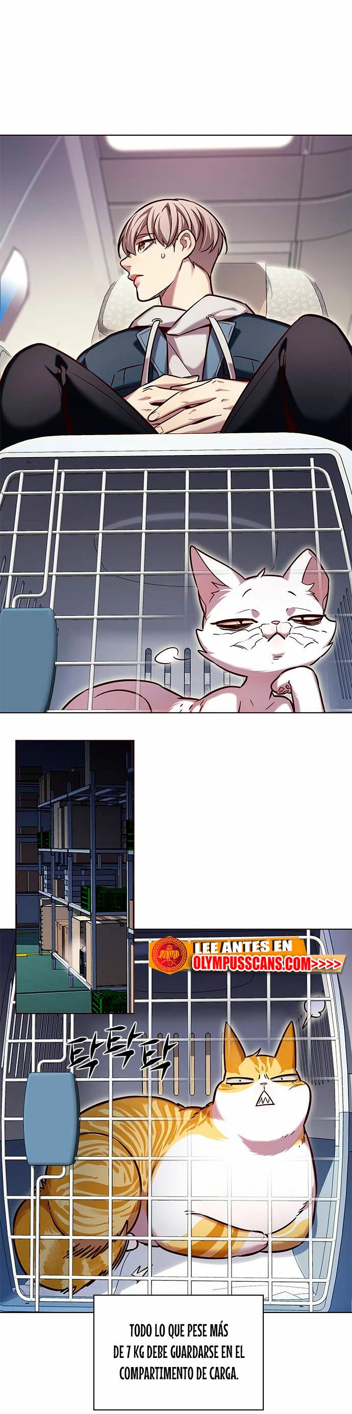 Eleceed Capitulo 231 página 13