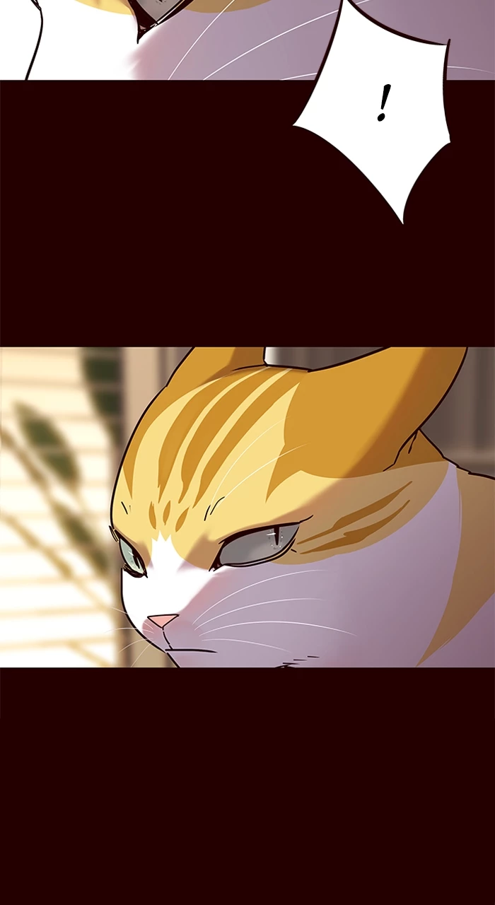 Eleceed Capitulo 96 página 12