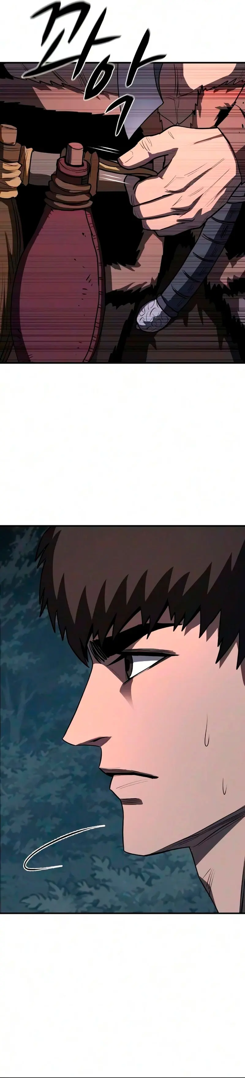 La segunda campaña del Berserker Capitulo 31 página 39