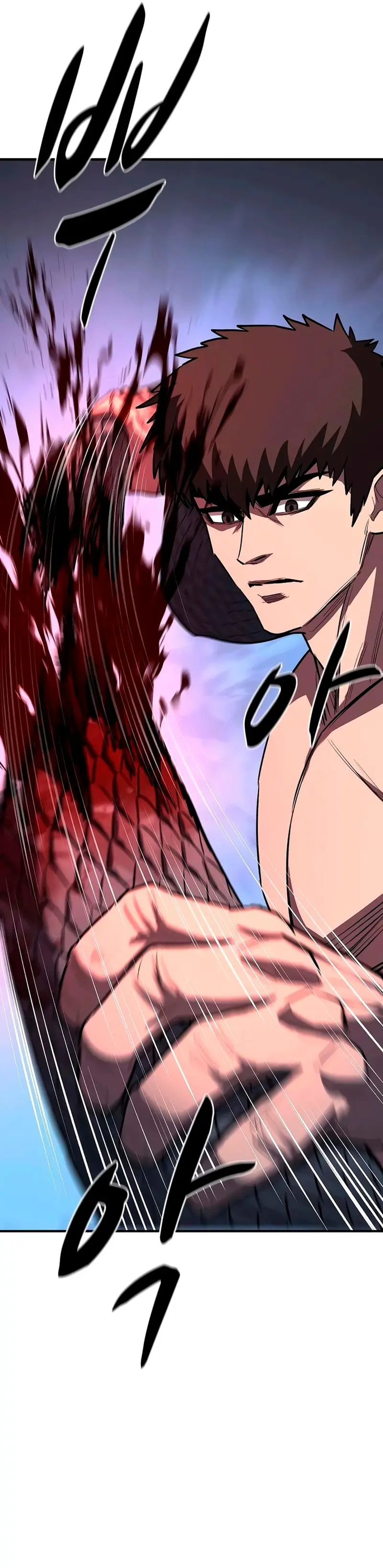 La segunda campaña del Berserker Capitulo 29 página 19