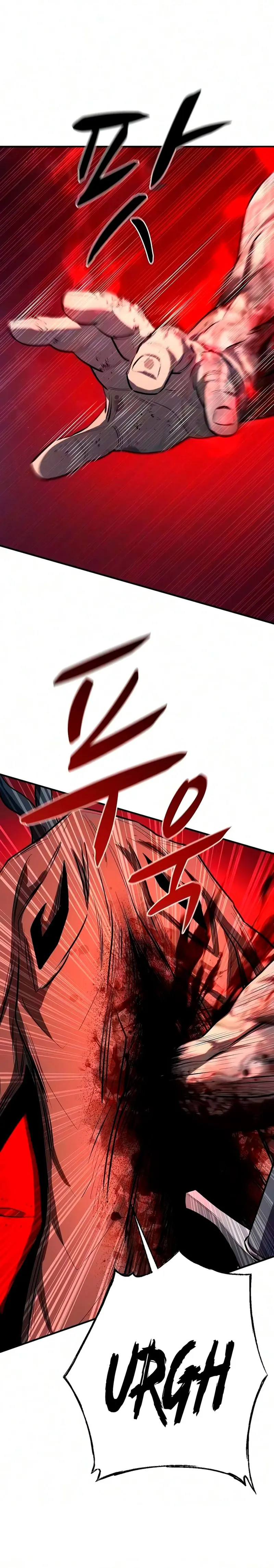 La segunda campaña del Berserker Capitulo 35 página 2