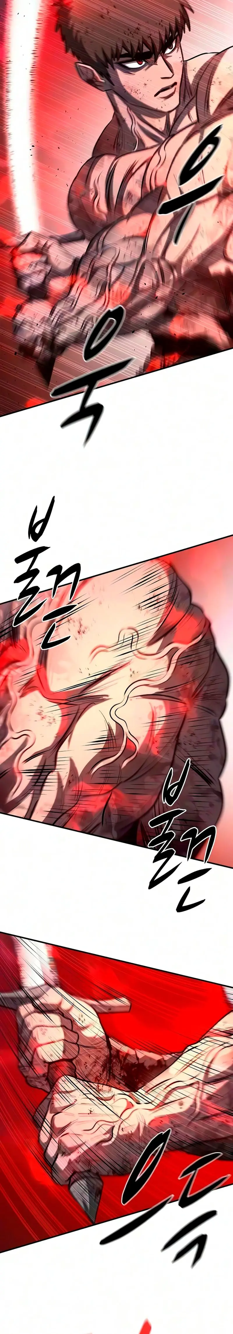 La segunda campaña del Berserker Capitulo 34 página 10