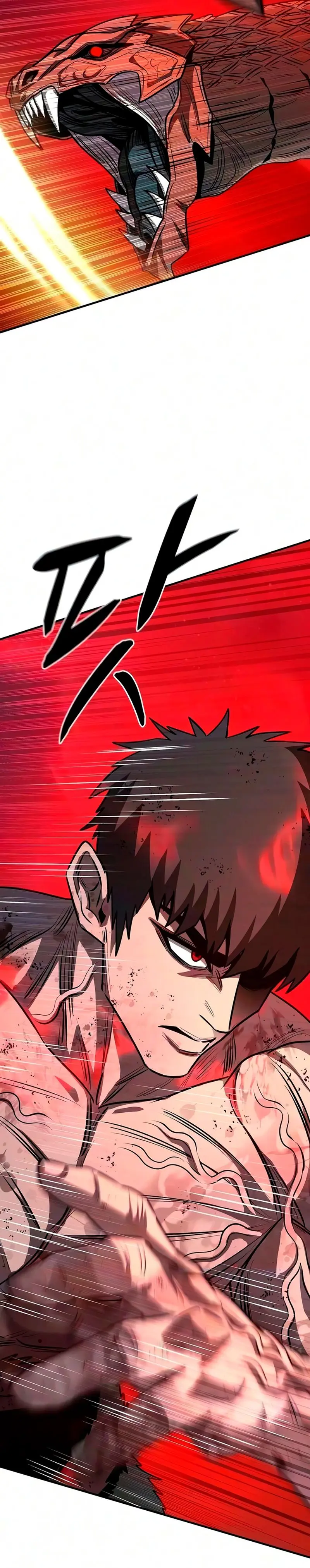 La segunda campaña del Berserker Capitulo 34 página 30