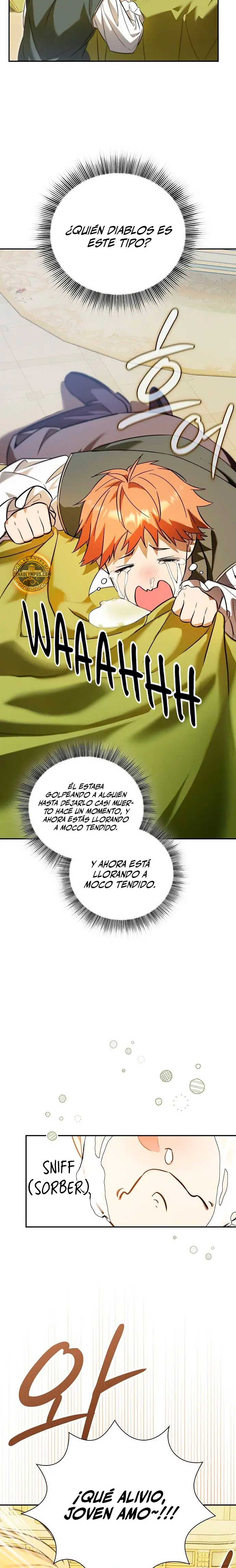 El Mercenario que Reencarno entre Aristócratas Capitulo 2 página 3