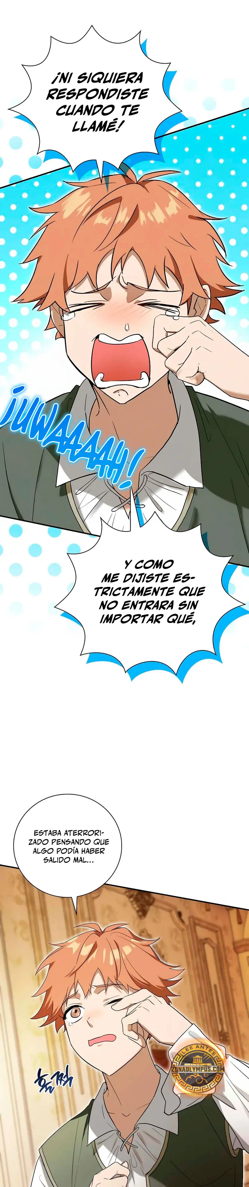 El Mercenario que Reencarno entre Aristócratas Capitulo 5 página 5