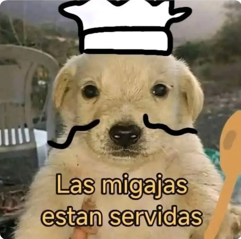 El Blinker genio de la academia mágica Capitulo 89 página 39