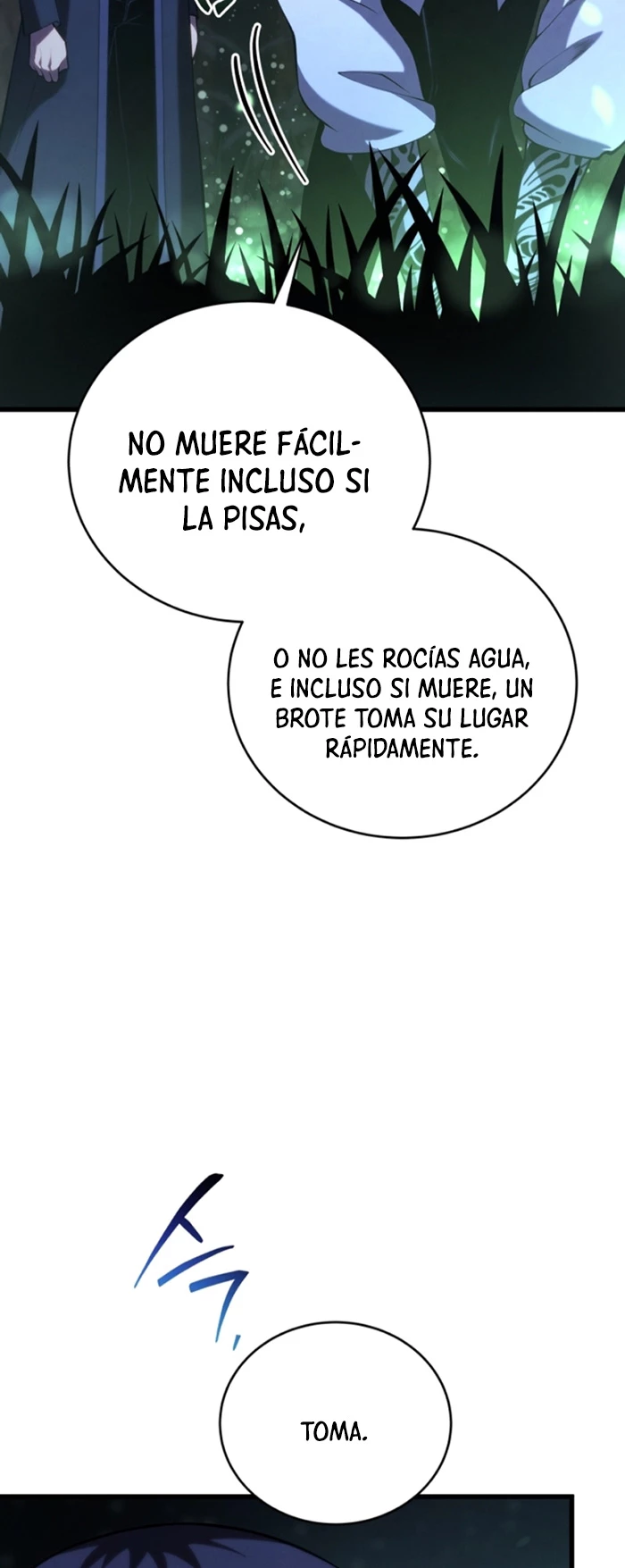 El hijo menor del maestro de la espada Capitulo 110 página 12