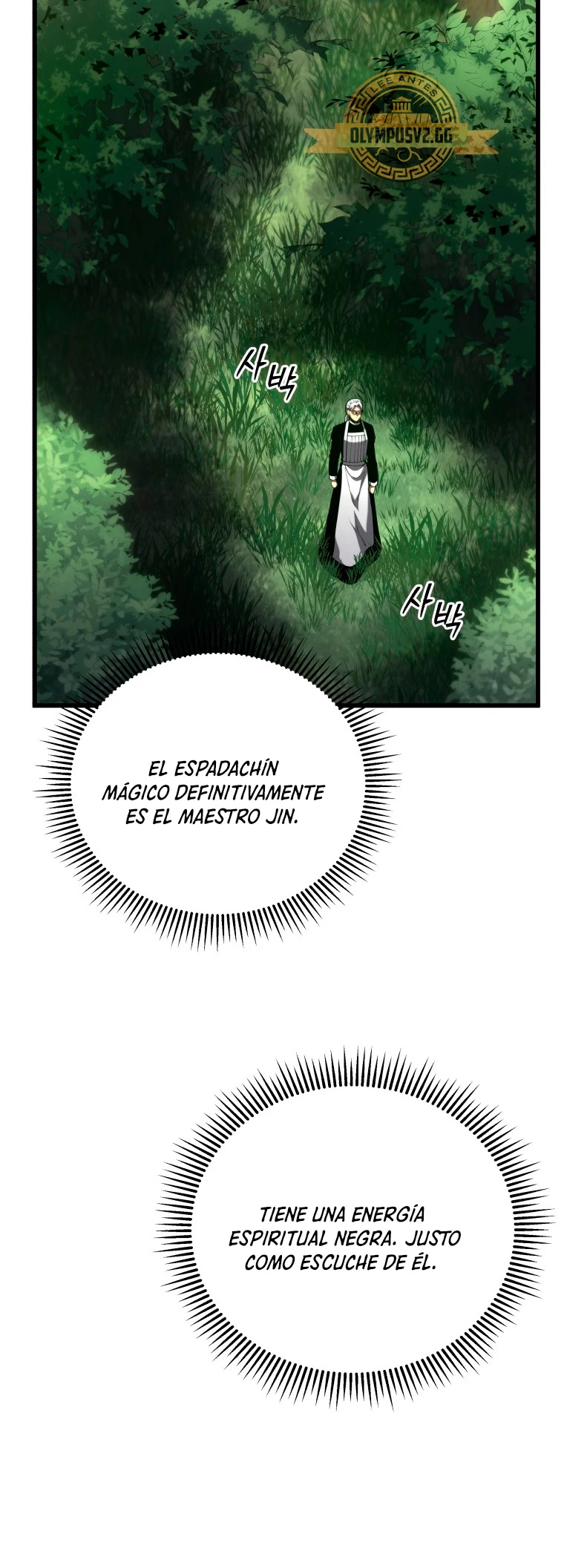 El hijo menor del maestro de la espada Capitulo 95 página 12