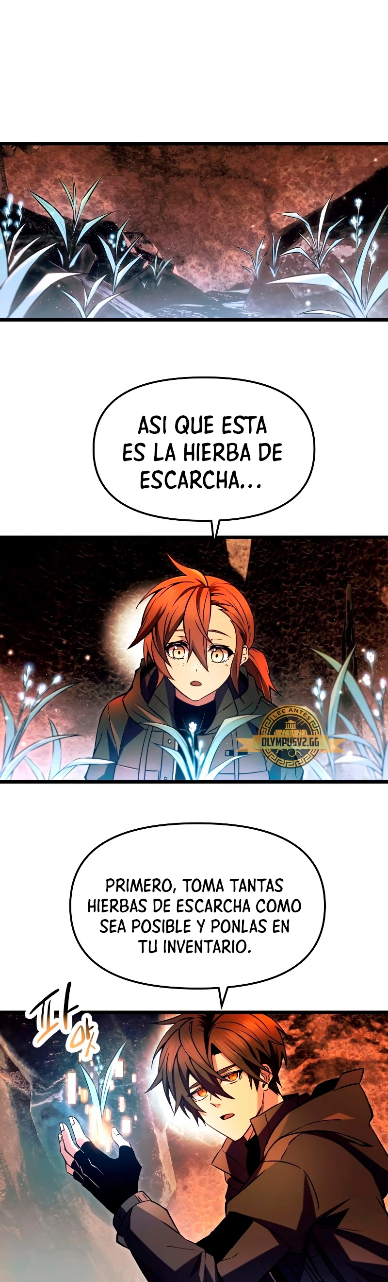 Obtuve un Objeto Mítico Capitulo 70 página 17