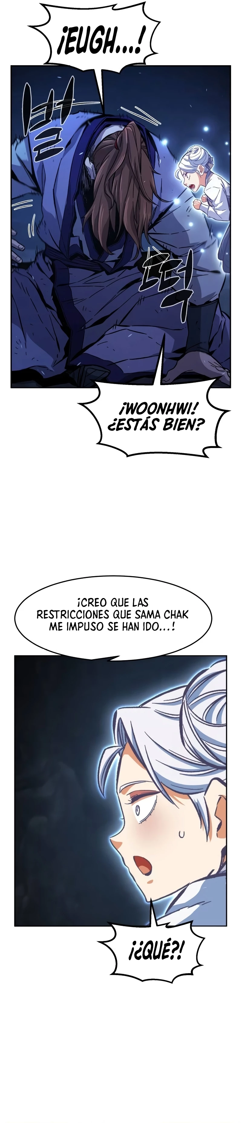 El Sentido Absoluto de las Espadas Capitulo 110 página 4
