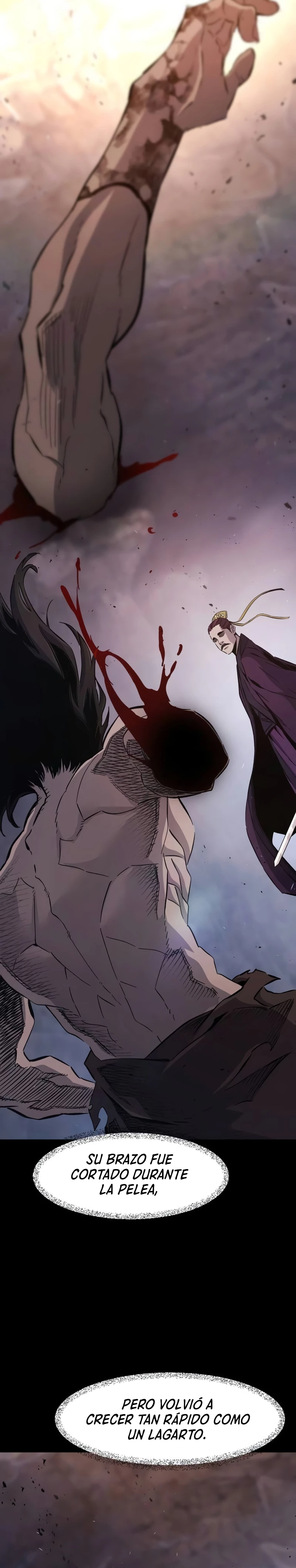 El Sentido Absoluto de las Espadas Capitulo 113 página 12