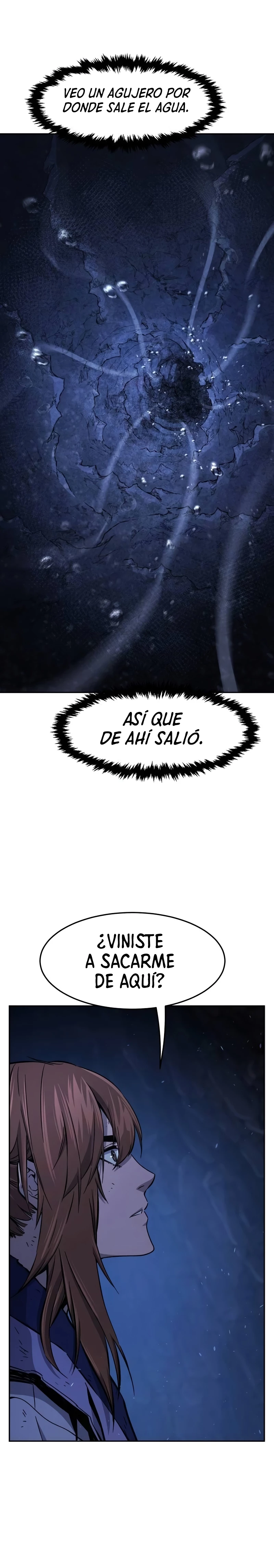 El Sentido Absoluto de las Espadas Capitulo 113 página 31