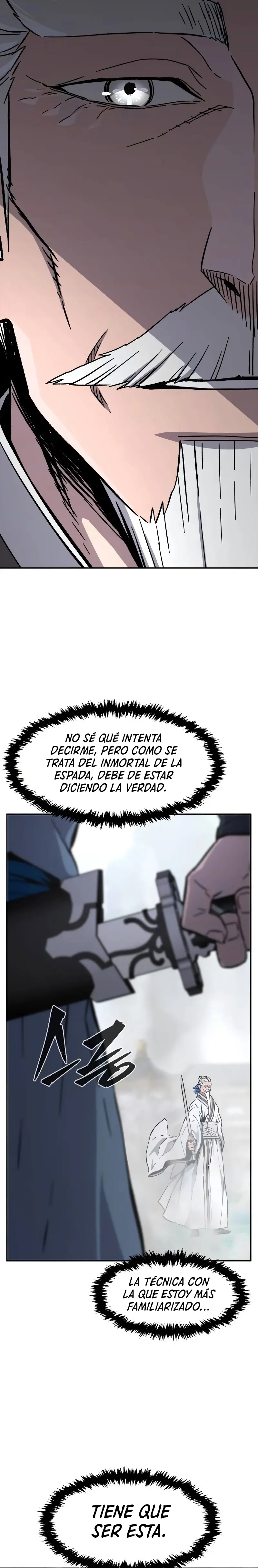 El Sentido Absoluto de las Espadas Capitulo 135 página 13
