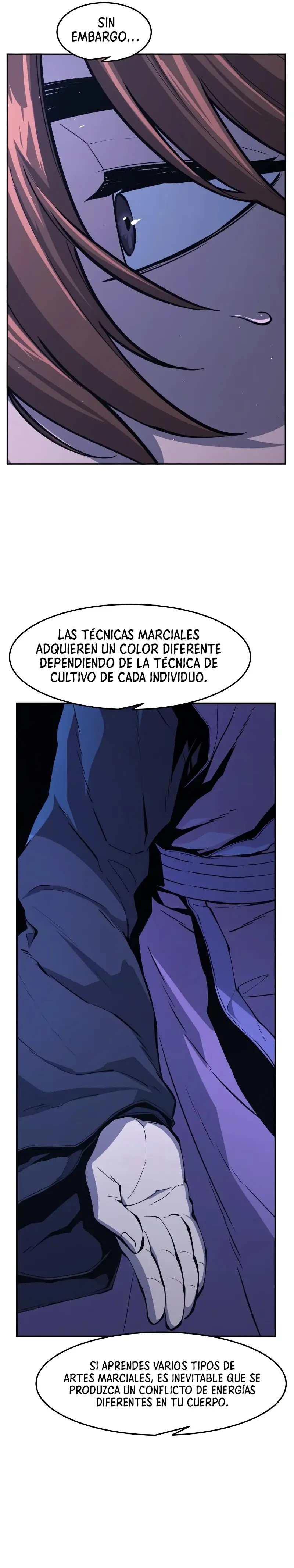 El Sentido Absoluto de las Espadas Capitulo 137 página 47