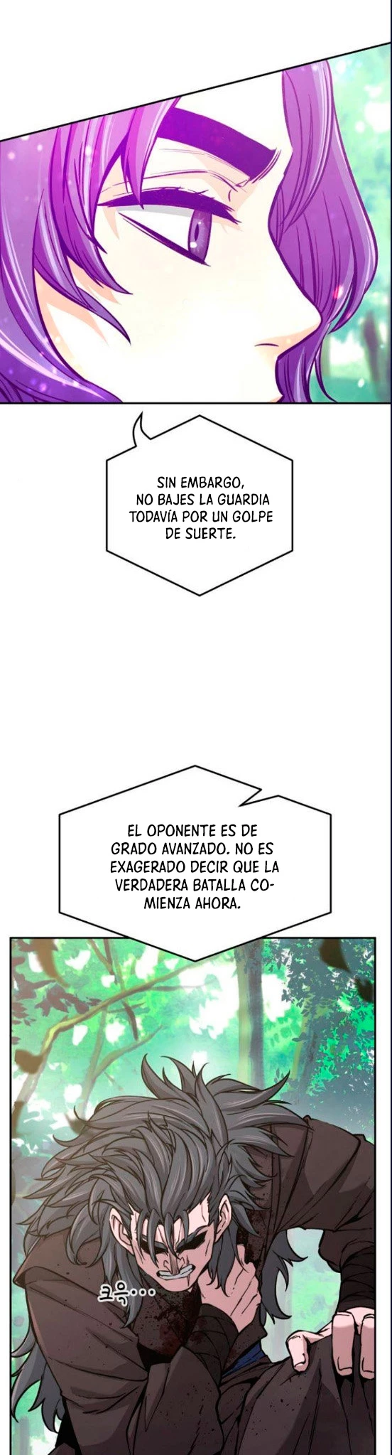 El Sentido Absoluto de las Espadas Capitulo 15 página 11