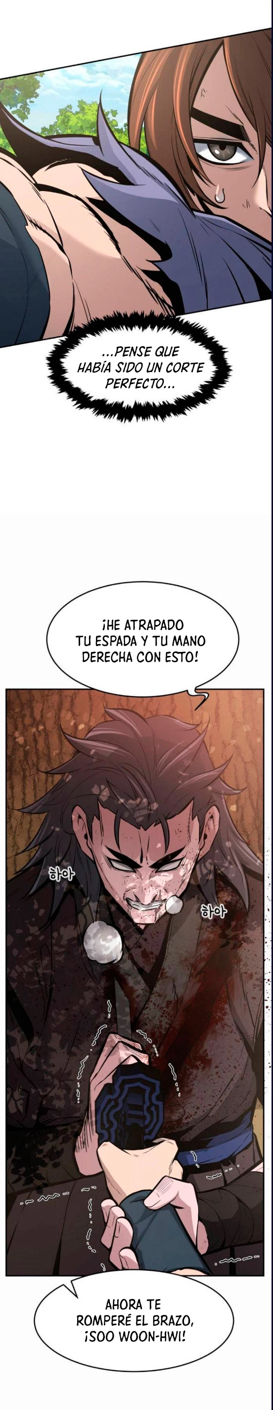 El Sentido Absoluto de las Espadas Capitulo 15 página 38