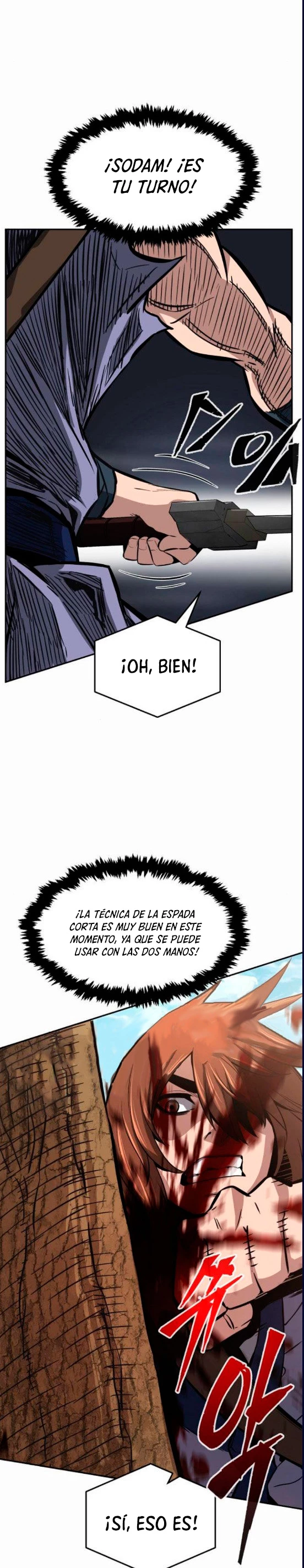 El Sentido Absoluto de las Espadas Capitulo 15 página 39