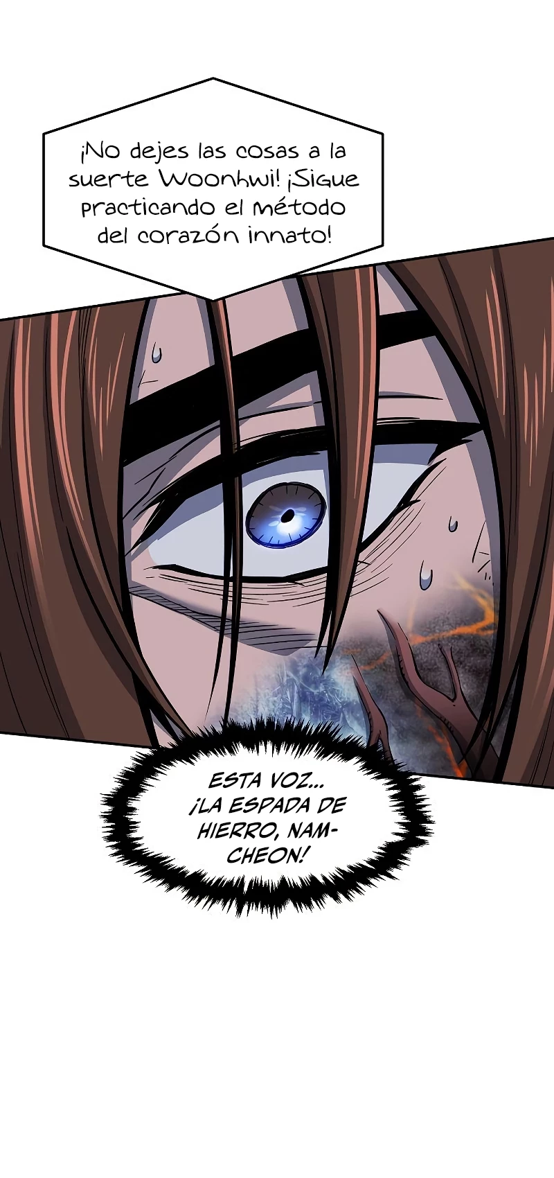 El Sentido Absoluto de las Espadas Capitulo 25 página 5