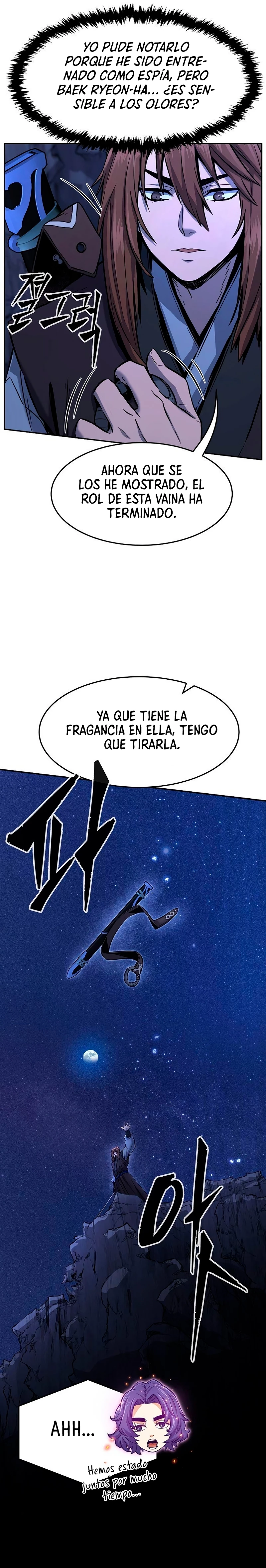 El Sentido Absoluto de las Espadas Capitulo 45 página 29