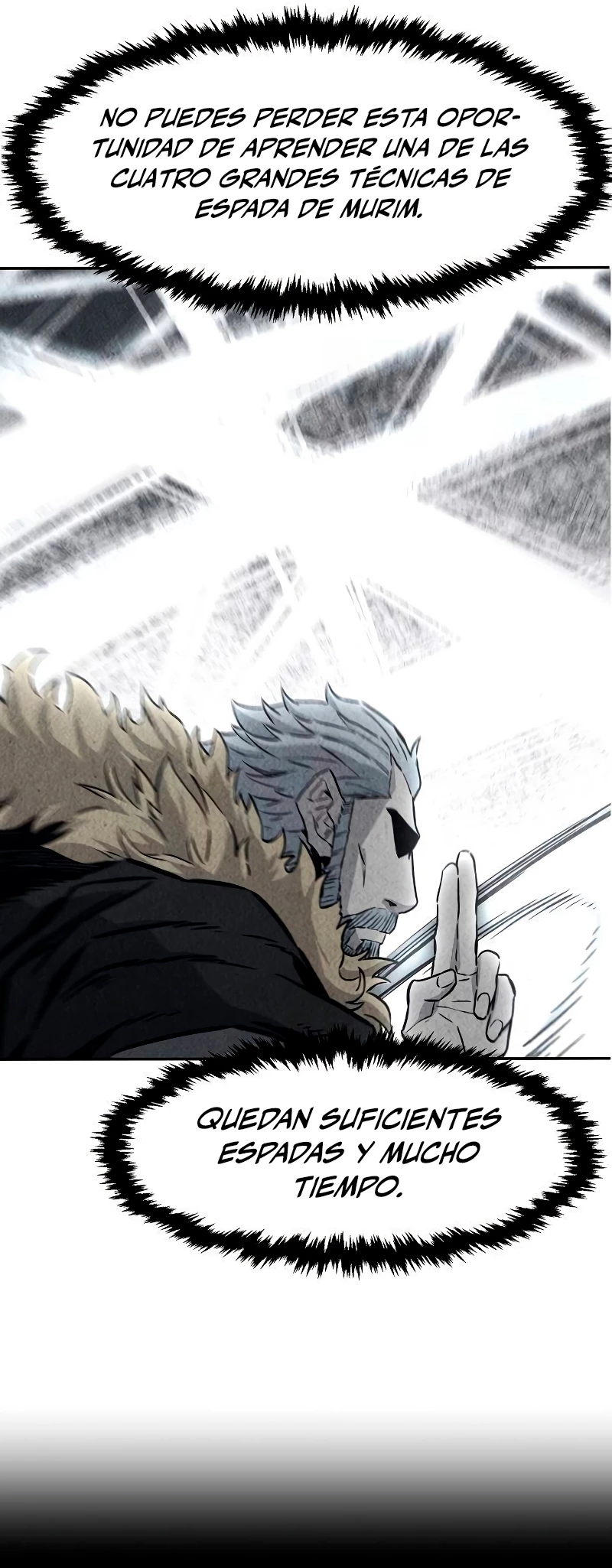 El Sentido Absoluto de las Espadas Capitulo 71 página 29