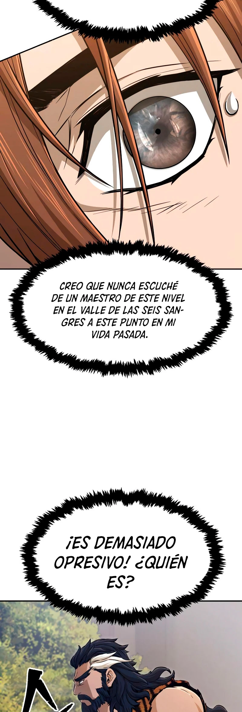 El Sentido Absoluto de las Espadas Capitulo 8 página 35