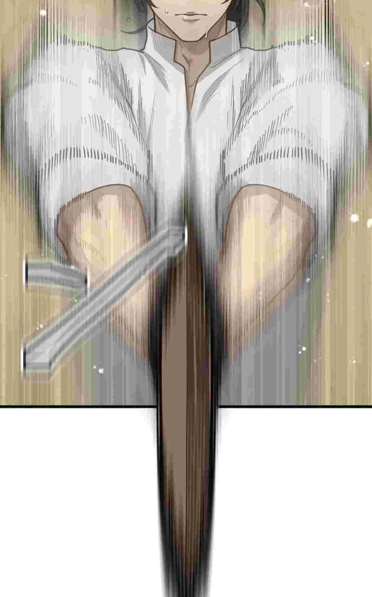 La Teoría Mágica del Santo de la Espada Regresado Capitulo 1 página 74