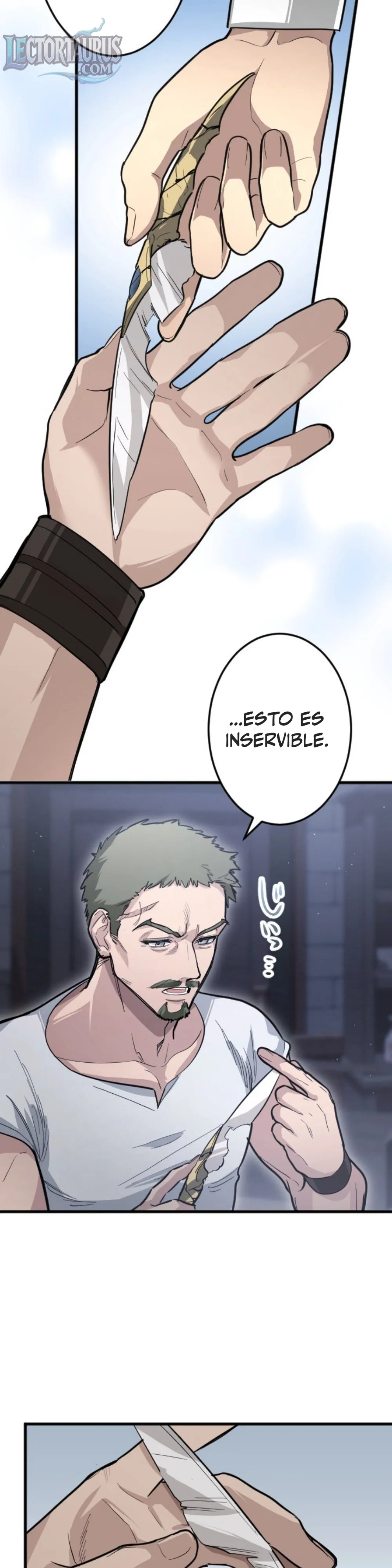 La Teoría Mágica del Santo de la Espada Regresado Capitulo 17 página 17