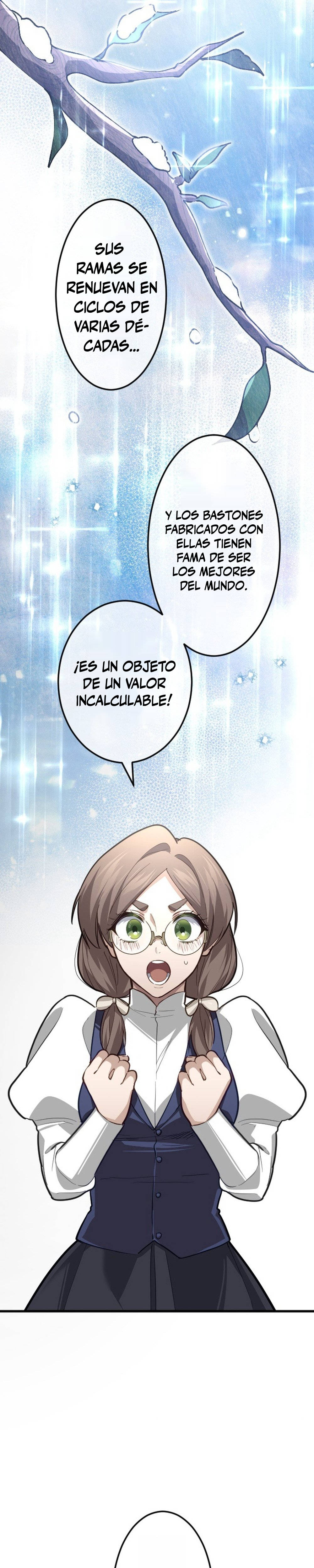 La Teoría Mágica del Santo de la Espada Regresado Capitulo 18 página 12