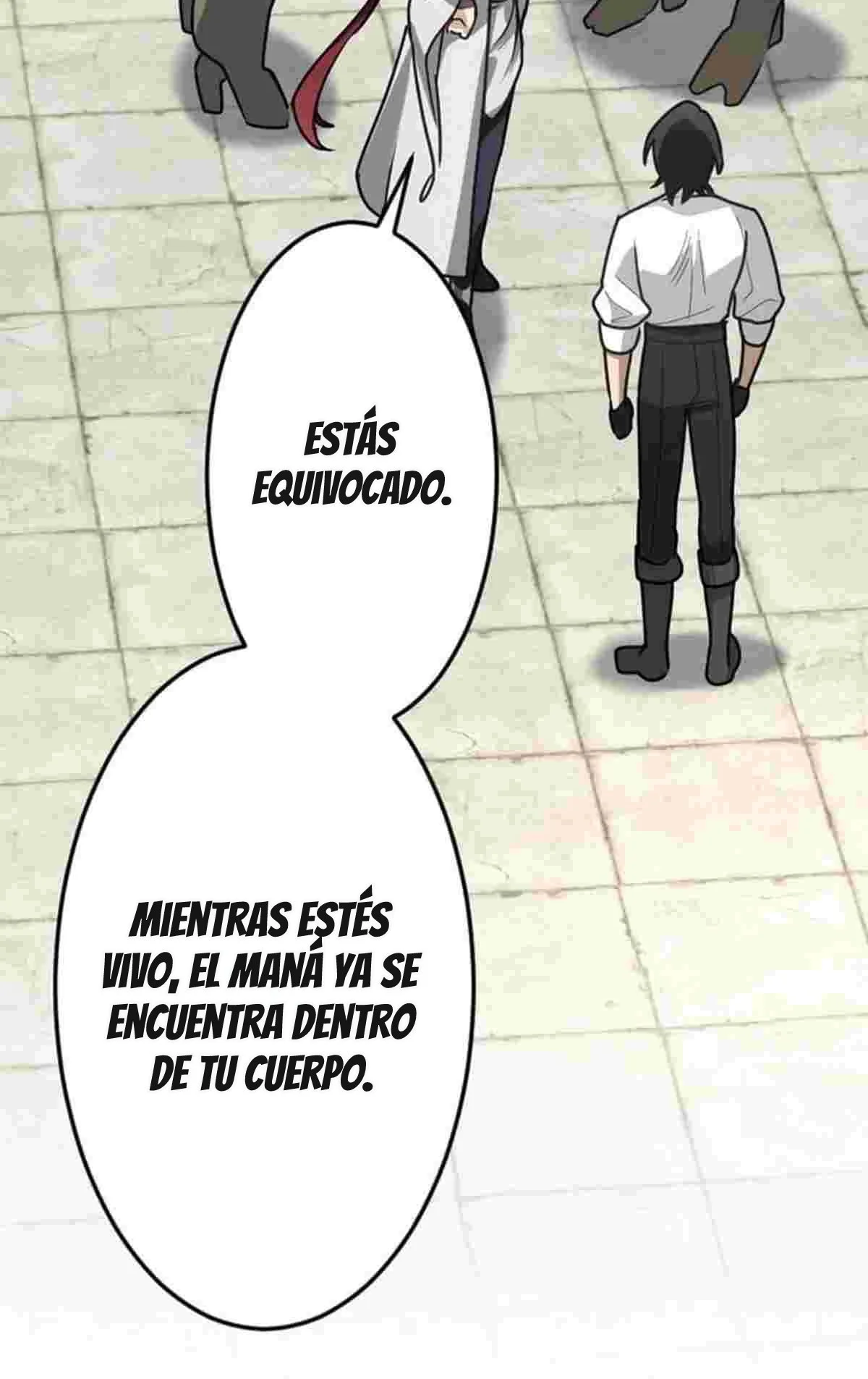 La Teoría Mágica del Santo de la Espada Regresado Capitulo 4 página 100