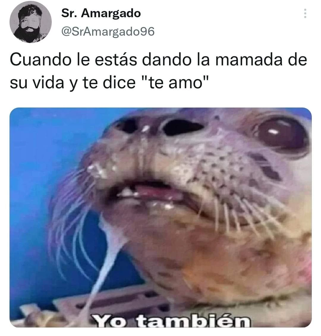 La secta más fuerte de todos los tiempos Capitulo 135 página 24