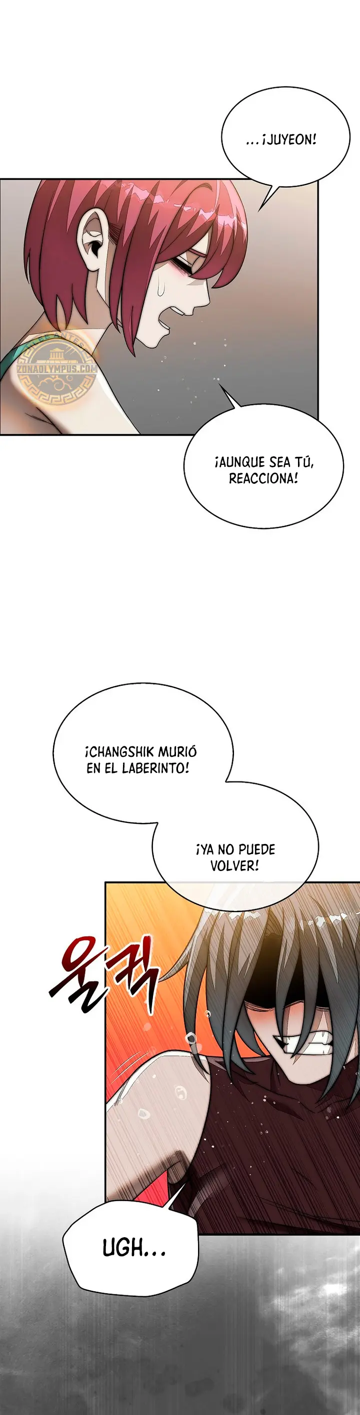 La 31ma pieza revierte la situación Capitulo 102 página 27
