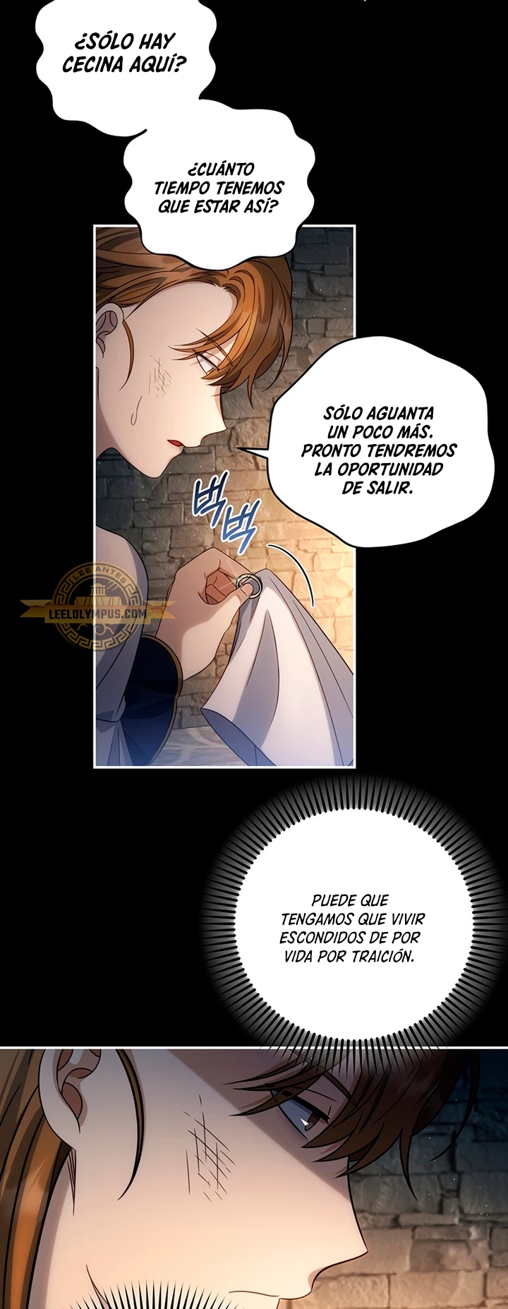 El hijo bastardo del marqués era el emperador Capitulo 21 página 33