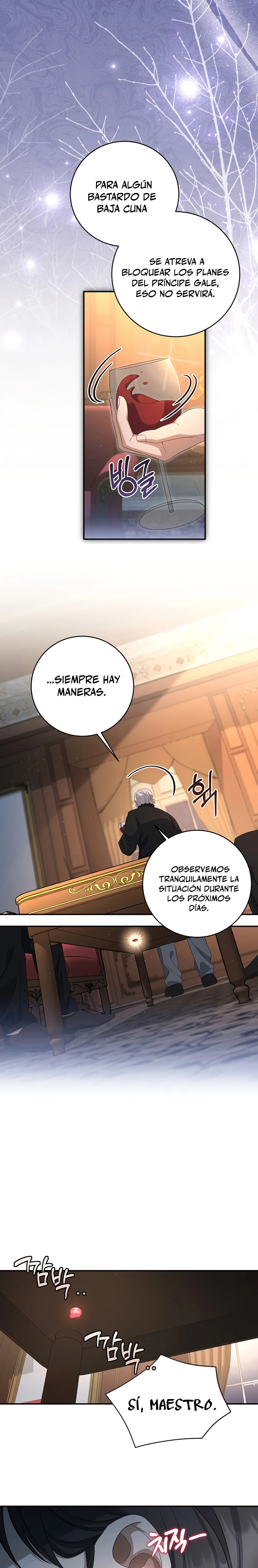 El hijo bastardo del marqués era el emperador Capitulo 29 página 12