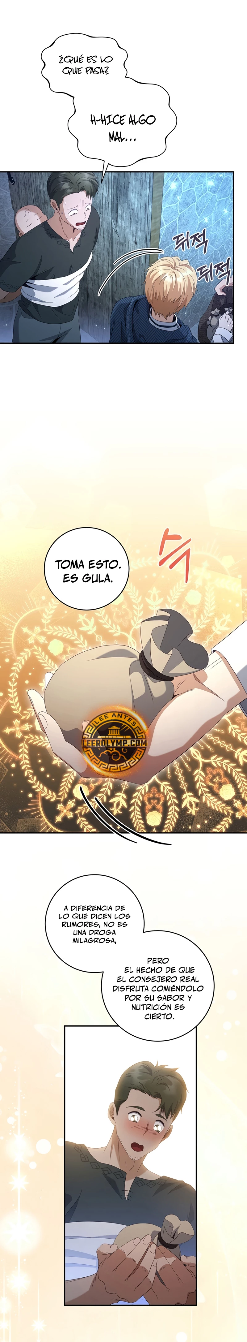 El hijo bastardo del marqués era el emperador Capitulo 33 página 10