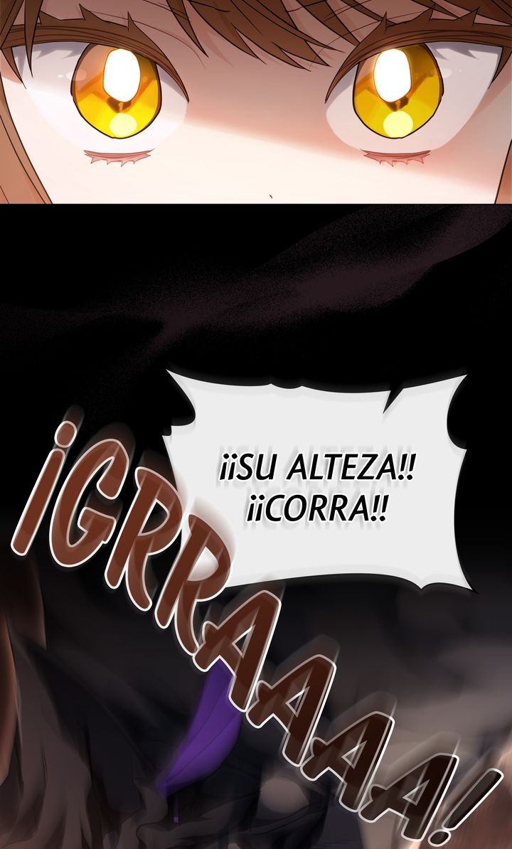 Si Te Enamoras De Una Princesa Con Una Enfermedad Terminal Capitulo 27 página 62