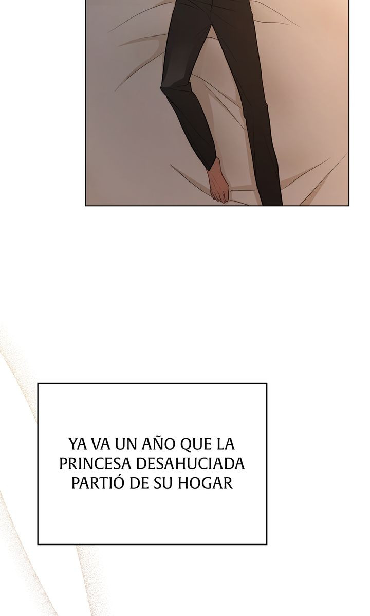 Si Te Enamoras De Una Princesa Con Una Enfermedad Terminal Capitulo 7 página 91
