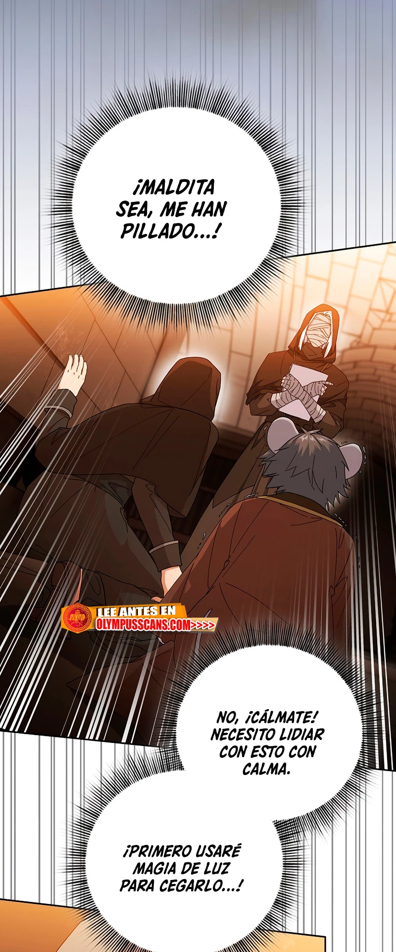 La vida de un mago de la academia de magia Capitulo 41 página 13