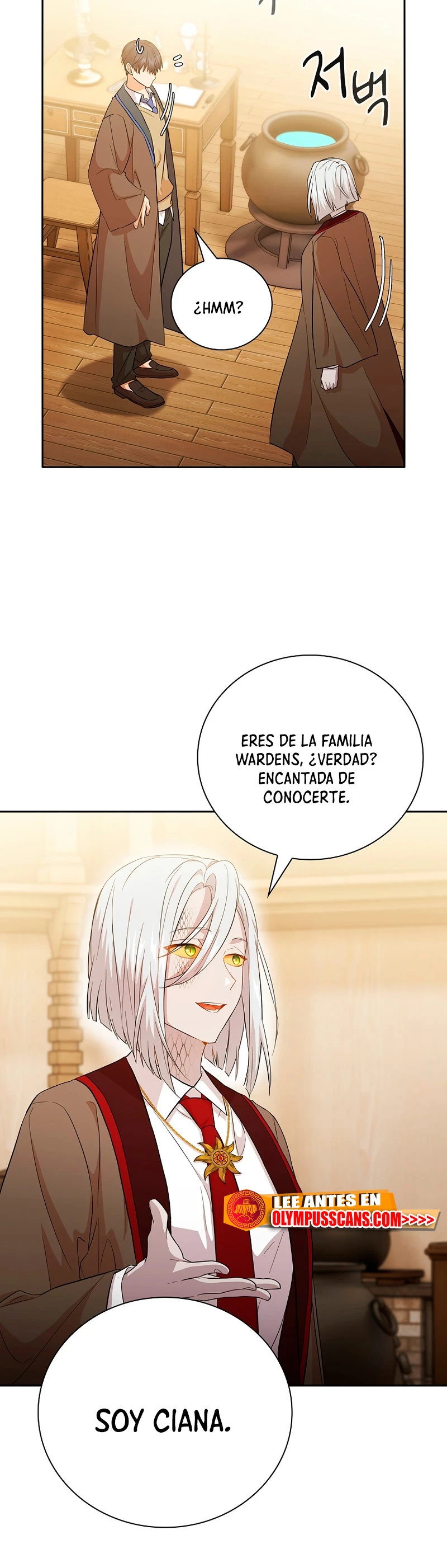 La vida de un mago de la academia de magia Capitulo 51 página 17