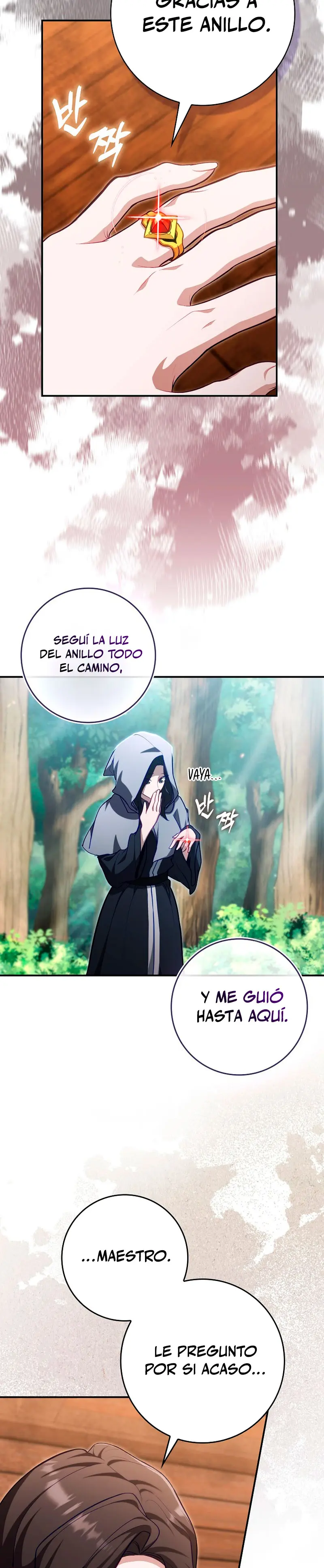 Jugador de nivel máximo Capitulo 136 página 26