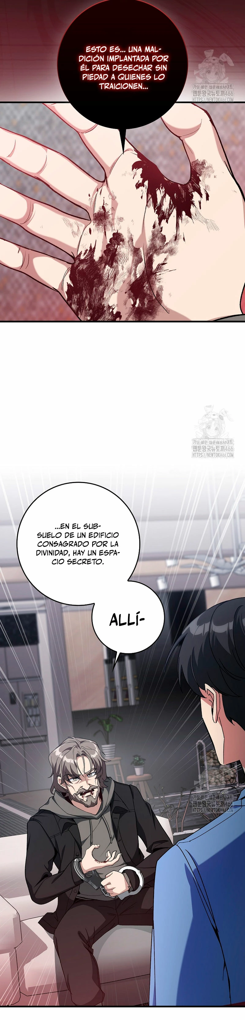 Jugador de nivel máximo Capitulo 87 página 17