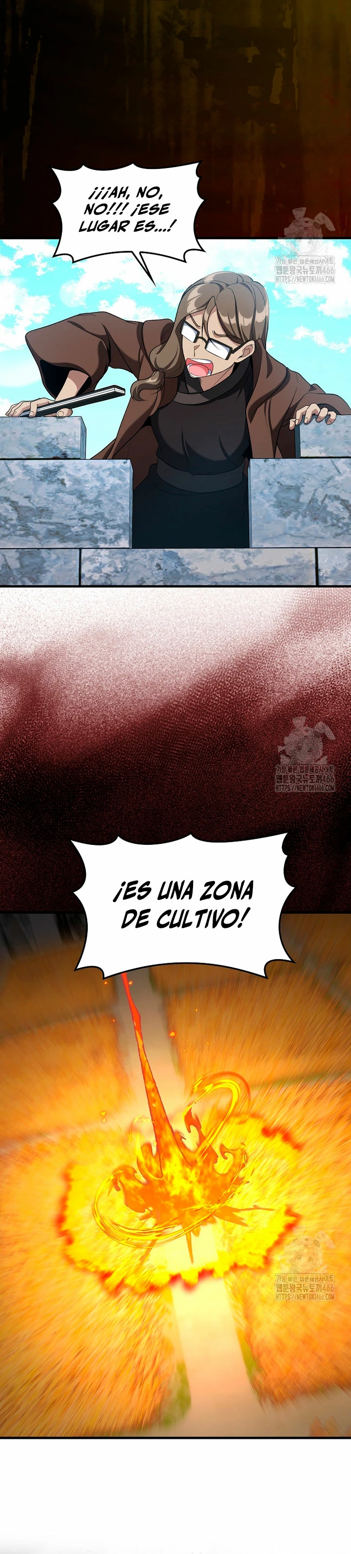 Jugador de nivel máximo Capitulo 88 página 17