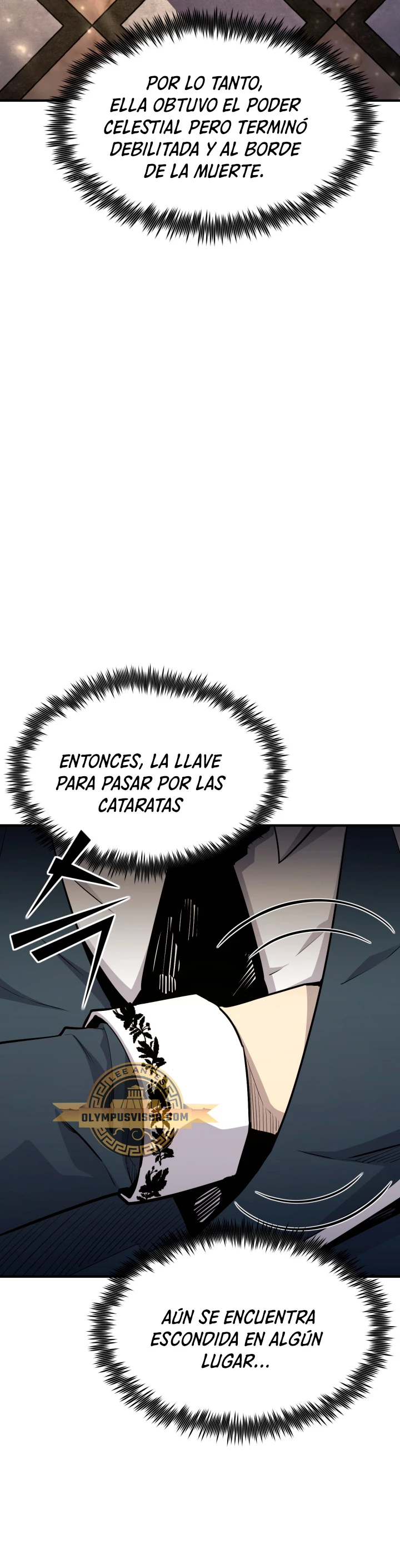 Estandar de la Reencarnación Capitulo 91 página 13